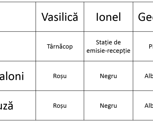 tabel de completat - exemplu. www.cornel.fatulescu.ro